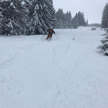 شقة Alpendomizil Pia Mühlbach am Hochkönig المظهر الخارجي الصورة