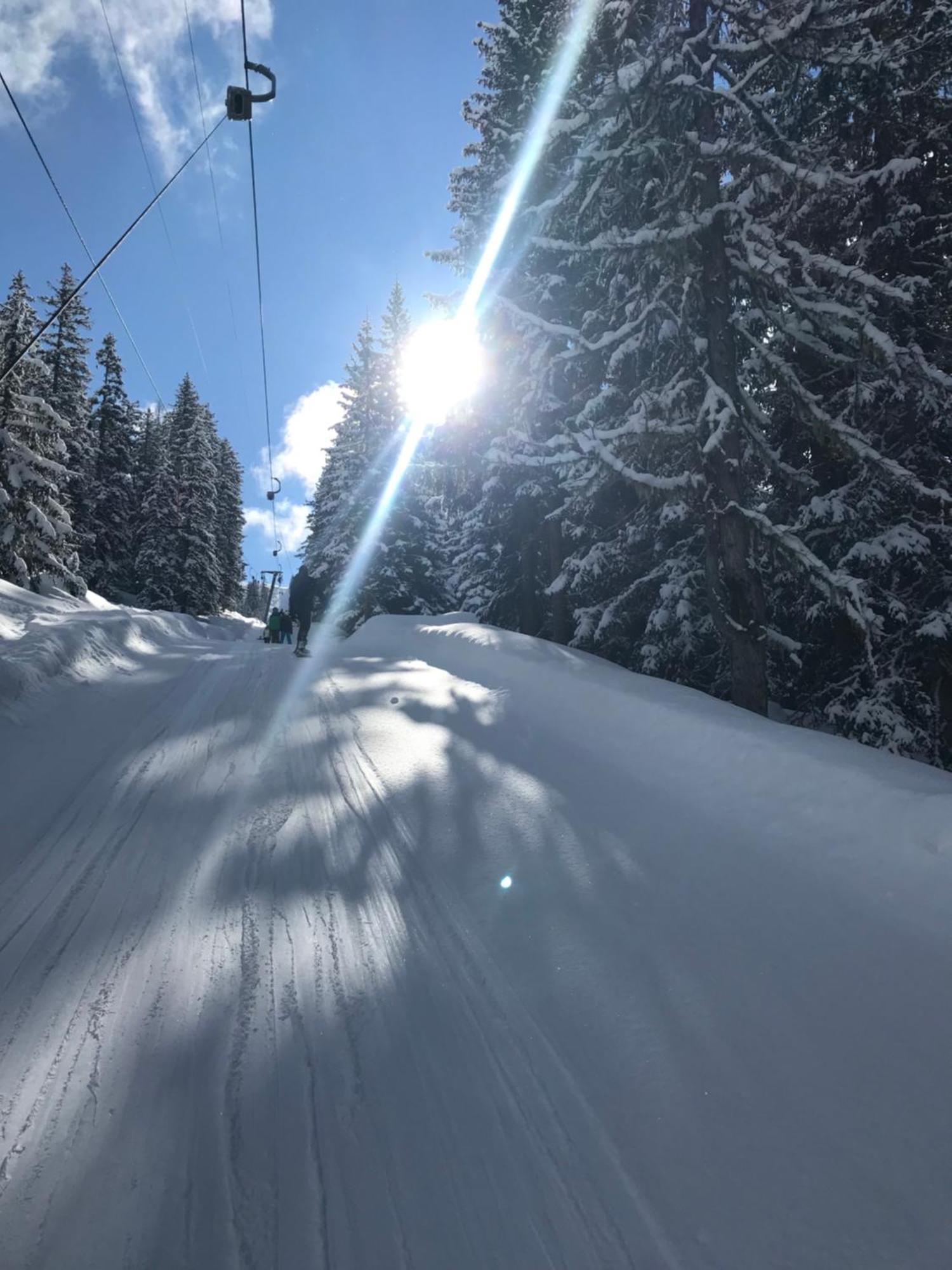 شقة Alpendomizil Pia Mühlbach am Hochkönig المظهر الخارجي الصورة