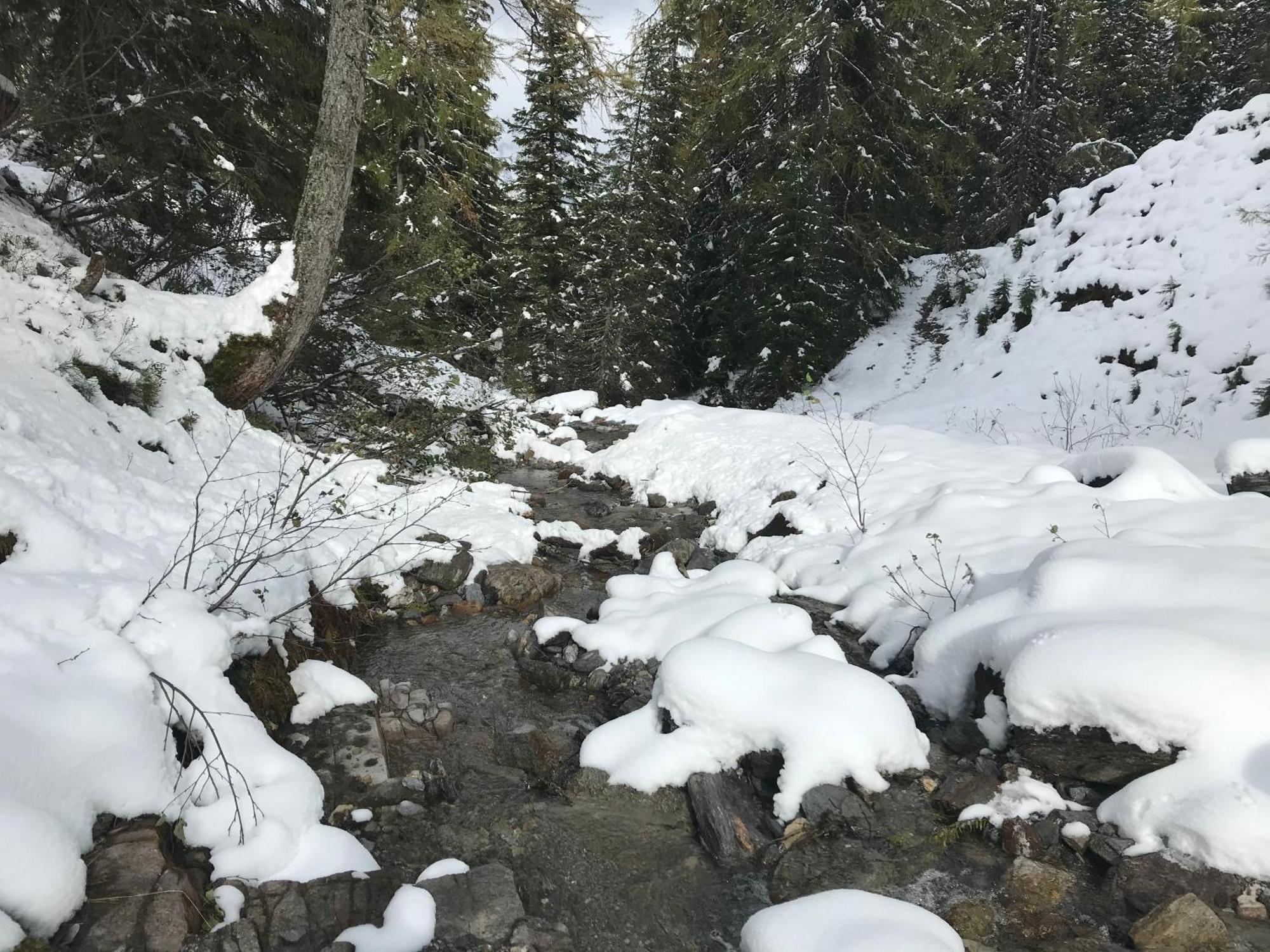 شقة Alpendomizil Pia Mühlbach am Hochkönig المظهر الخارجي الصورة