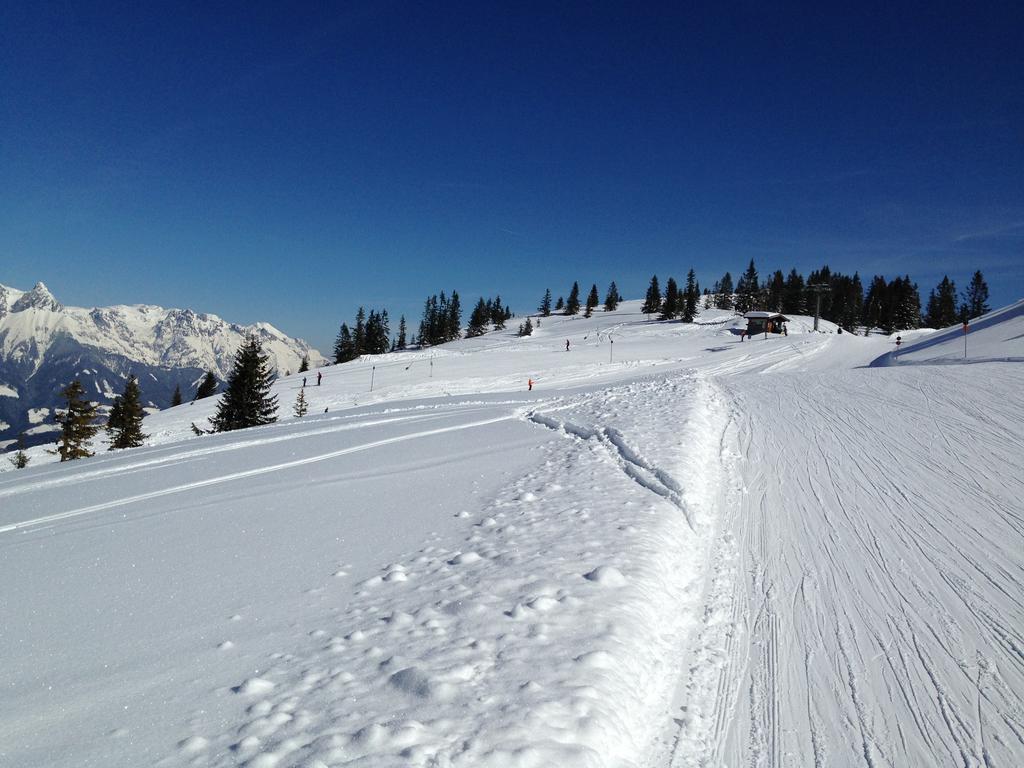 شقة Alpendomizil Pia Mühlbach am Hochkönig المظهر الخارجي الصورة