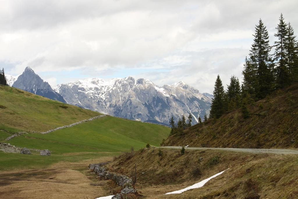 شقة Alpendomizil Pia Mühlbach am Hochkönig المظهر الخارجي الصورة