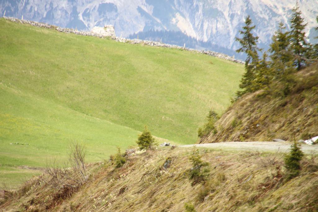 شقة Alpendomizil Pia Mühlbach am Hochkönig المظهر الخارجي الصورة