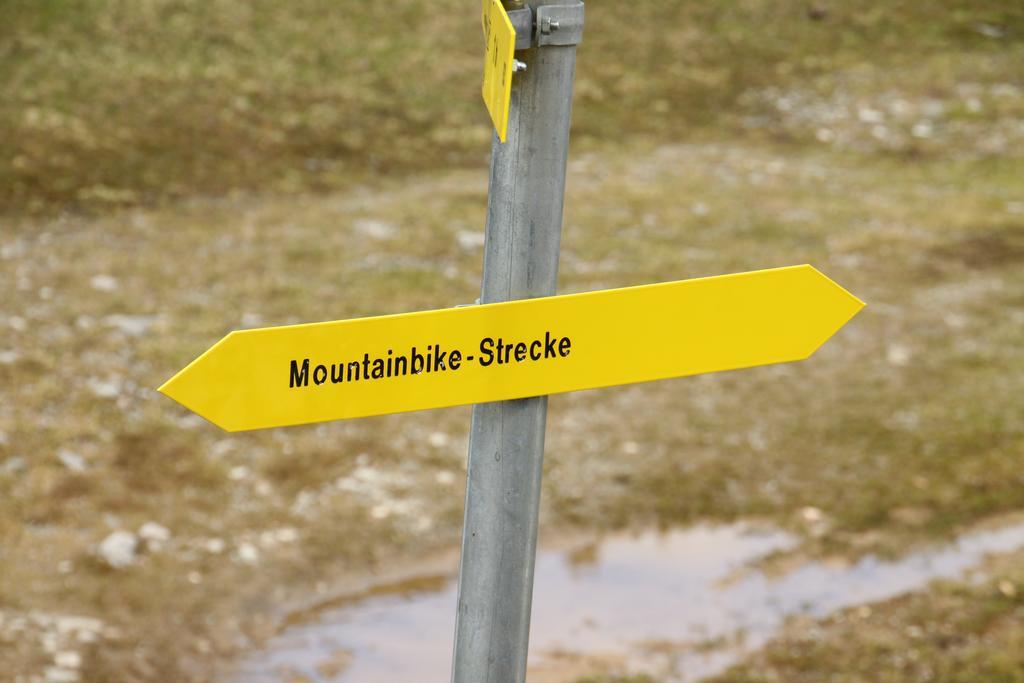 شقة Alpendomizil Pia Mühlbach am Hochkönig المظهر الخارجي الصورة